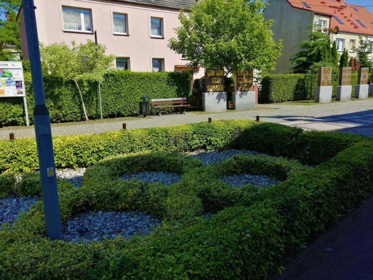 Mieszkania Na Wydmach Dziwnów Dış mekan fotoğraf